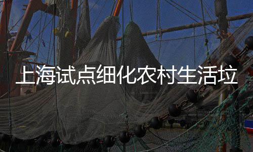 任制垃圾农村细化桶责上海试点生活