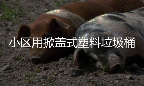 垃圾盖式小区桶用掀塑料