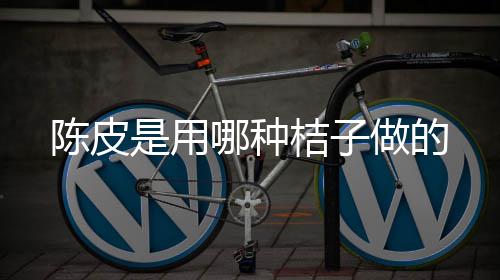 哪种做的桔子是用陈皮